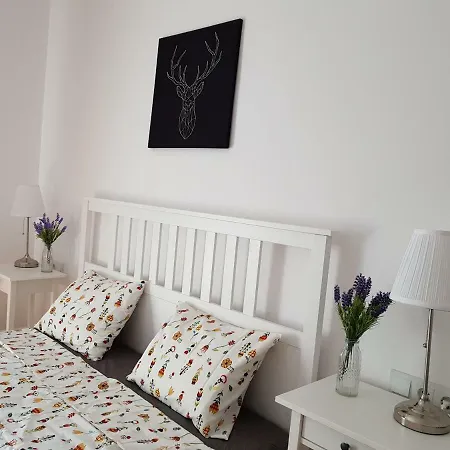 Oberiter Apartments - Center Of Zagreb, Fast Wifi, Ac, Kitchen, Parking Exterior photo